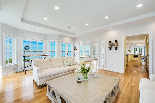 living room featuring light hardwood / wood-style flooring and a raised ceiling