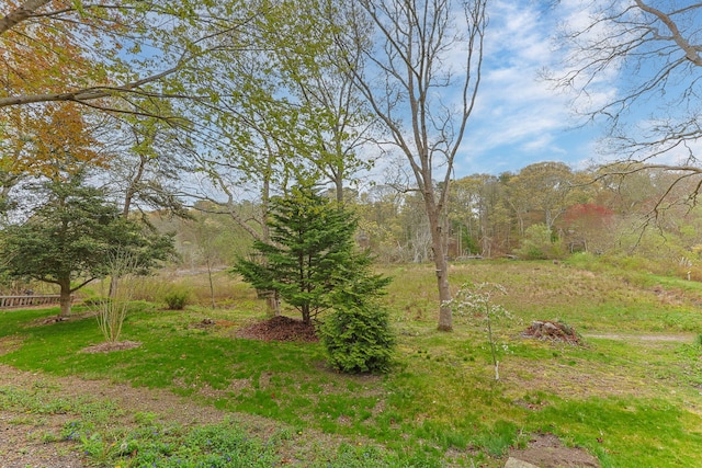 114 Stoney Cliff Rd, Centerville, MA 02632 - photo 5