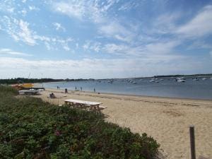 view of water feature with a beach view