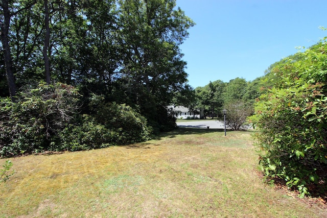 126 Bittersweet Dr, Brewster, MA 02631 - photo 6