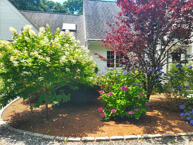 34 Marla Ln, Hatchville, MA 02536 - view of front facade with roof with shingles