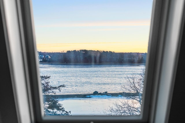 property view of water featuring a forest view