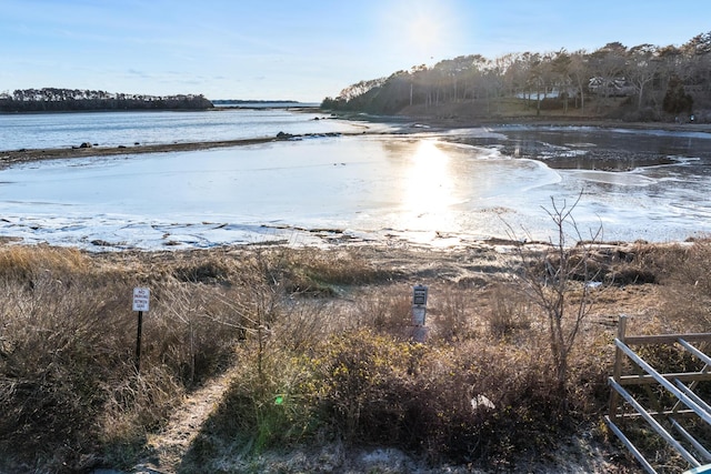 property view of water