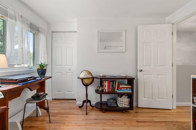 interior space with light wood-type flooring