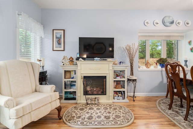 living room featuring wood-type flooring