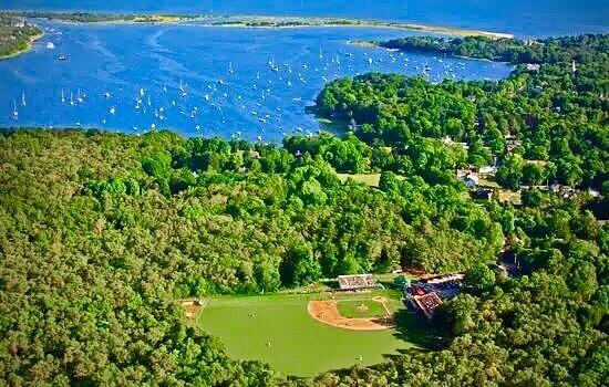 drone / aerial view with a wooded view and a water view