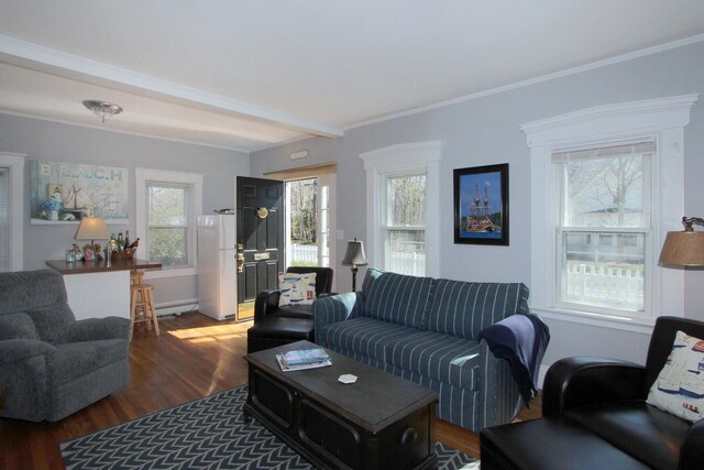 living room featuring beamed ceiling, ornamental molding, wood finished floors, and a baseboard radiator