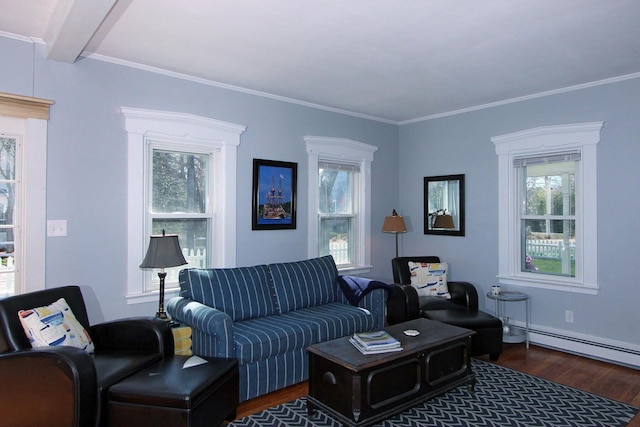 living room with wood finished floors, crown molding, and plenty of natural light