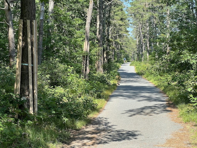 68 Lumberjack Trl, West Yarmouth, MA 02673 - photo 21