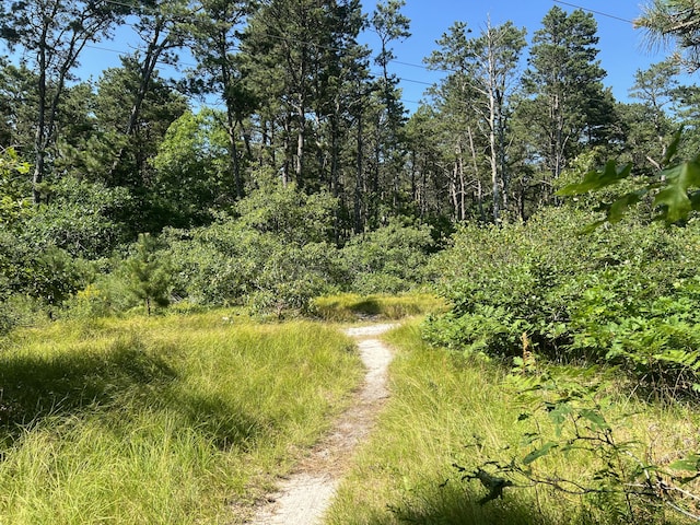 68 Lumberjack Trl, West Yarmouth, MA 02673 - photo 20