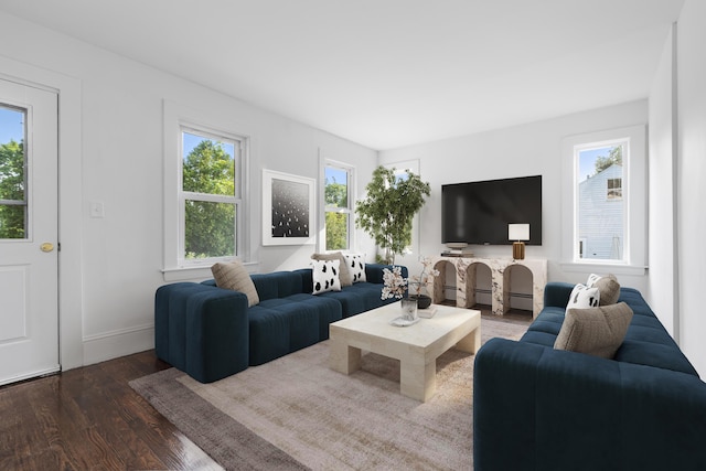 30 Terry Ct, Hyannis, MA 02601 - living room featuring wood finished floors and baseboards