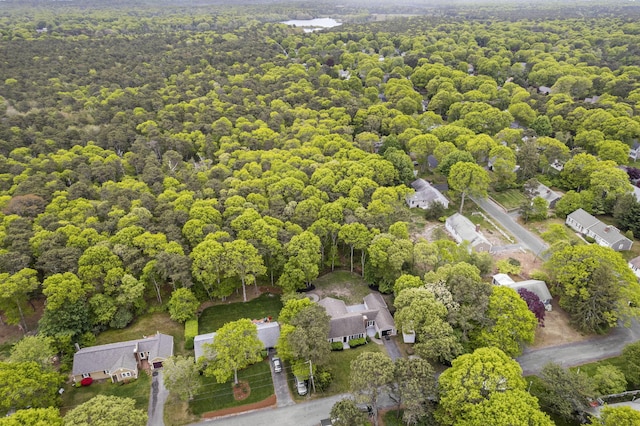 9 Cogswell Path, West Yarmouth, MA 02673 - bird's eye view of a forest