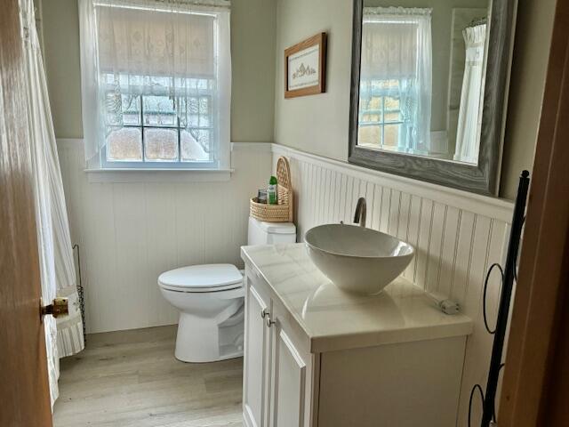 bathroom with wood-type flooring, toilet, and vanity