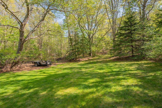 view of grassy yard
