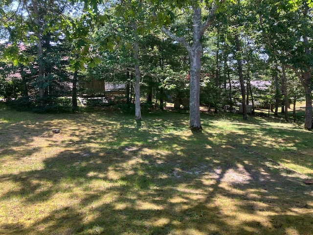 131 Forest Beach Rd, South Chatham, MA 02659 - view of green lawn