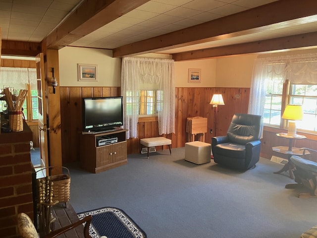131 Forest Beach Rd, South Chatham, MA 02659 - carpeted living area featuring wood walls, a wainscoted wall, and beam ceiling