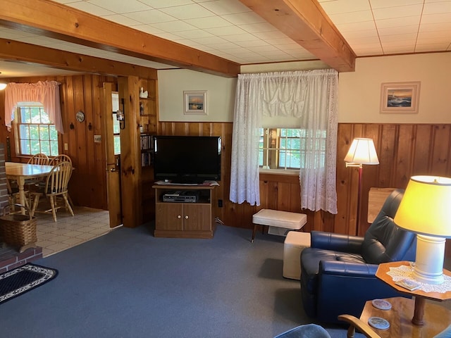 131 Forest Beach Rd, South Chatham, MA 02659 - living room featuring wood walls, wainscoting, and beamed ceiling