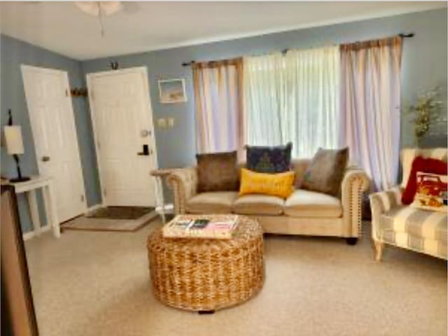 4 Coffey Ln, Dennis Port, MA 02639 - living room with carpet