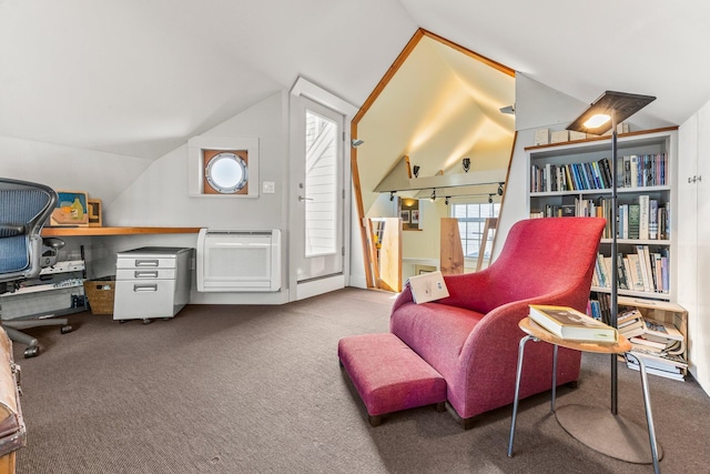 2 Daggett Ln, Provincetown, MA 02657 - living area featuring vaulted ceiling and carpet floors