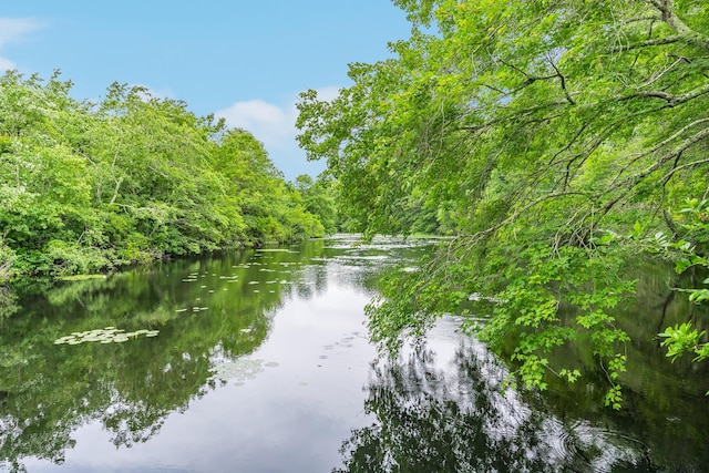 28 Stoney Cliff Rd, Centerville, MA 02632 - water view featuring a heavily wooded area