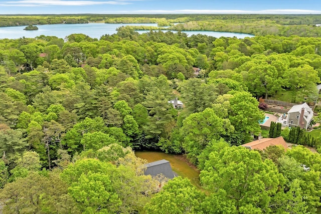 13 Pickerel Way, Forestdale, MA 02644 - drone / aerial view of a forest and a large body of water
