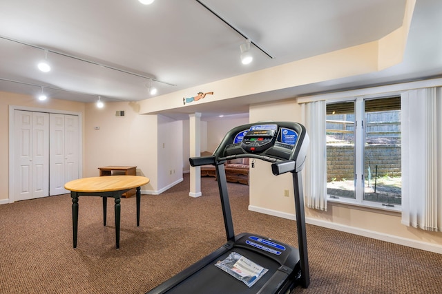 248 Kates Path, Yarmouth Port, MA 02675 - workout room featuring track lighting and carpet flooring