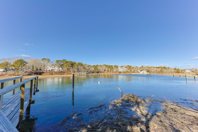 dock area with a water view