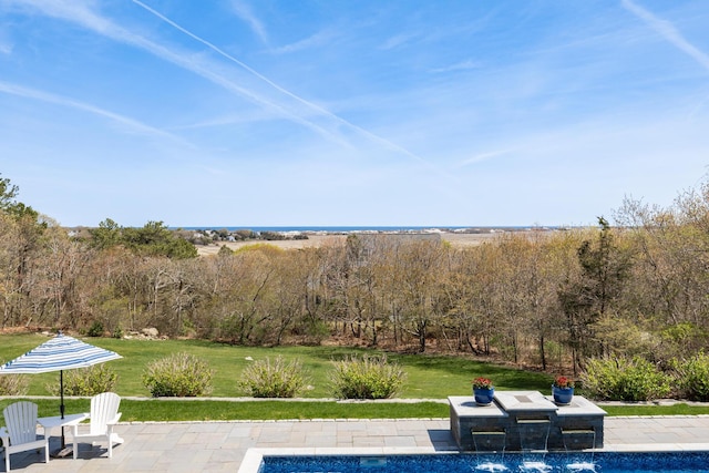 swimming pool featuring a patio and a yard