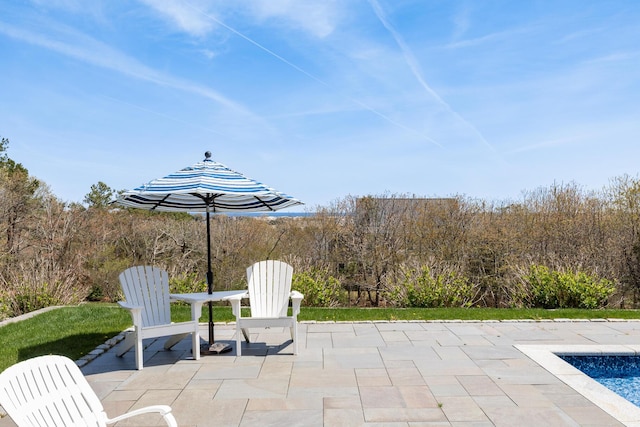 view of patio / terrace with an outdoor pool