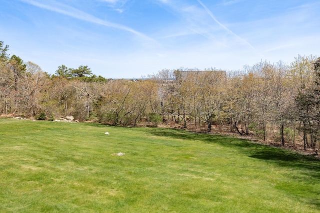 view of grassy yard