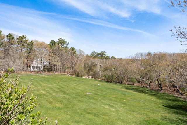 view of grassy yard