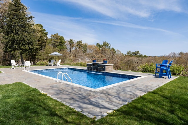 outdoor pool featuring a patio area, exterior kitchen, and a lawn