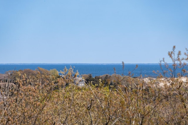 water view