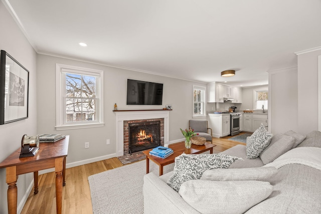 living room featuring light wood-type flooring, sink, ornamental molding, and a fireplace