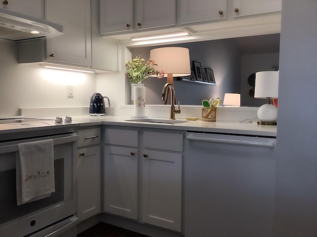 kitchen featuring stainless steel dishwasher, under cabinet range hood, a sink, and light countertops