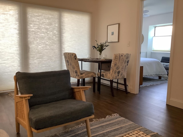 living area featuring a baseboard heating unit and wood finished floors