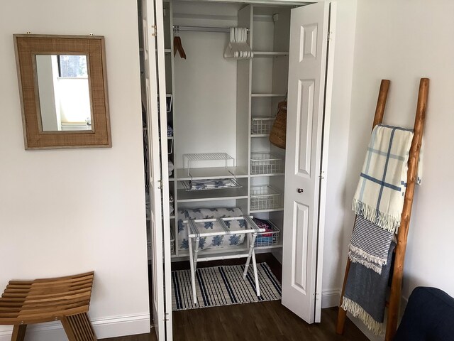 view of closet