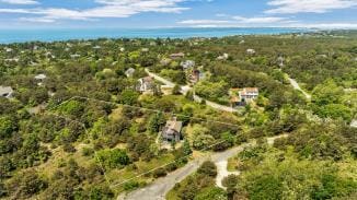 3 Amber Way, Truro, MA 02666 - bird's eye view of a forest