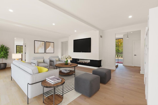 living room with light hardwood / wood-style floors