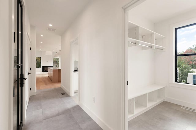 mudroom with a wealth of natural light