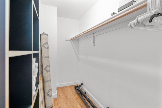 spacious closet featuring wood-type flooring