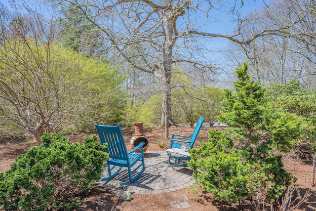 view of yard featuring a patio area