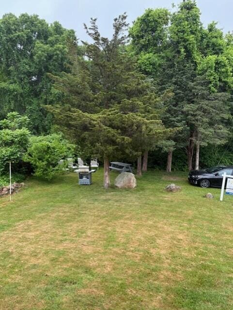 51 Penobscot Ave, Pocasset, MA 02559 - view of green lawn