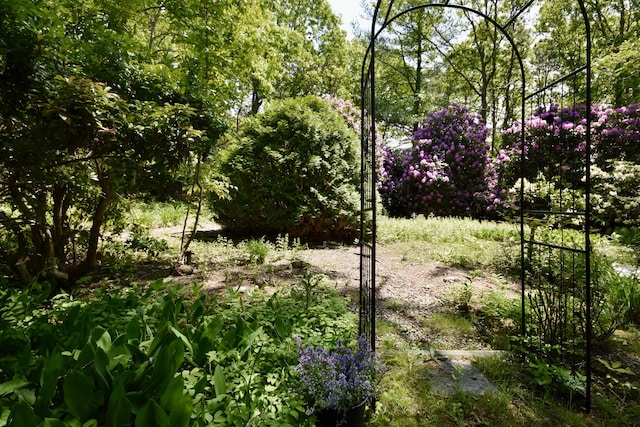 4 Spinnaker Ln, Pocasset, MA 02559 - view of local wilderness