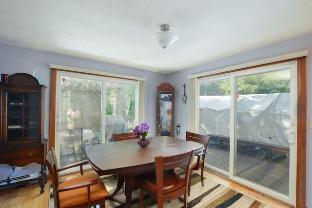 59 Whitecaps Dr, East Falmouth, MA 02536 - dining space featuring light wood-style flooring and healthy amount of natural light
