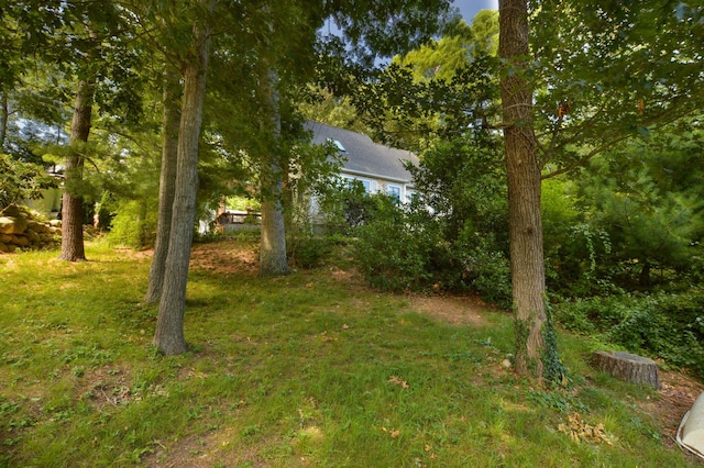 59 Whitecaps Dr, East Falmouth, MA 02536 - view of grassy yard