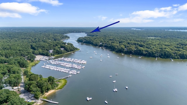 drone / aerial view with a water view and a wooded view