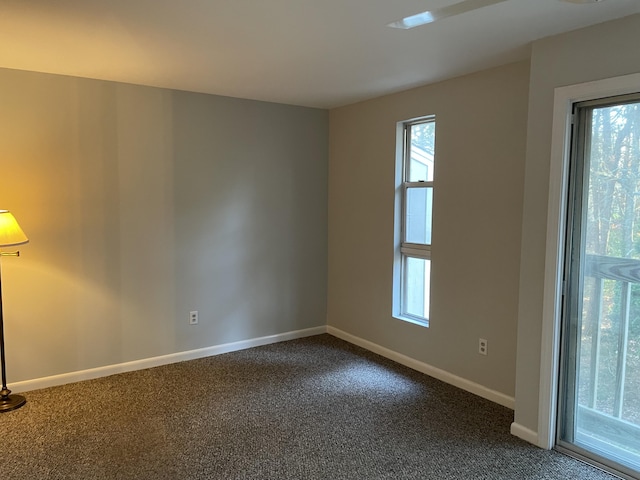 unfurnished room featuring carpet