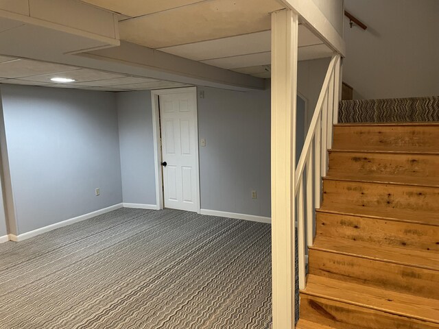 basement with a paneled ceiling and carpet floors