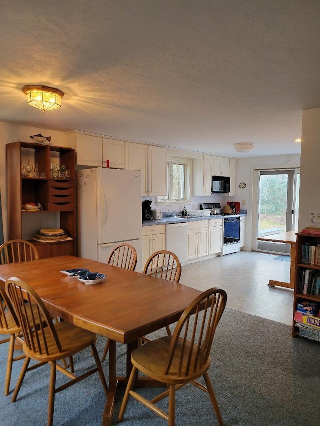 view of dining space